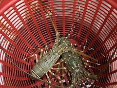 -拉威海鲜市场