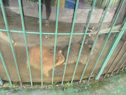 -萌宠亲子动物乐园(槐房万达店)