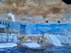 -海合安青岛极地海洋公园