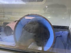 -谐和益家动物医院·免疫绝育·血液透析·宠保定点医院(高新伊藤分院)