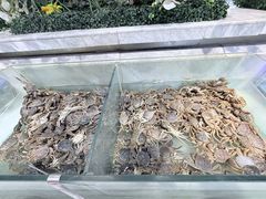 -川骄海鲜自助(河东店)