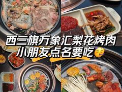 -梨花自助烤肉(西三旗万象汇黑金店)