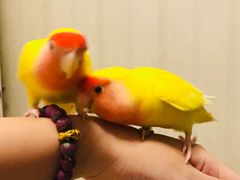 -青岛市体育产业发展中心全民健身中心