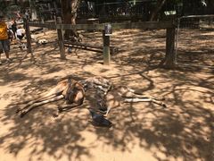 -可伦宾野生动物保护区
