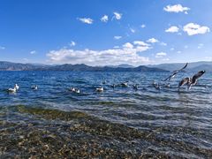 -丽江泸沽湖景区