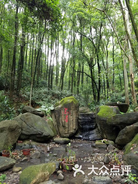 福州國家森林公園圖片 - 第2張