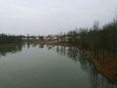 野营-上海海湾国家森林公园