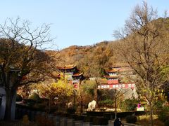 -遵化市禅林寺古银杏风景园