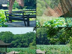 -兰亭风景区