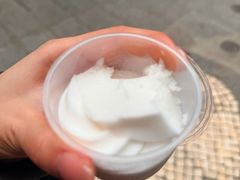 -洪馨椰子
