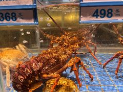 -青蓬蒸汽海鲜·深圳老字号·团建聚会(壹方城店)