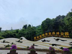 -西双版纳原始森林公园