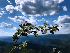 -妙峰山风景名胜区