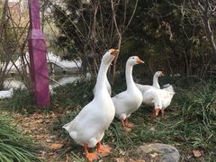 -汤峪温泉碧水湾