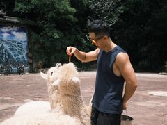 -昆明青龙峡风景区