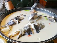 千岛湖鱼头-丰乐餐厅·始于1999·本地老字号