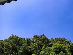 -土砂锅生态山庄·非遗砂锅雅鱼
