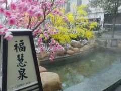 -国御温泉度假小镇