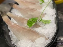 极品耗儿鱼-小王少龙火锅(沙南街店)