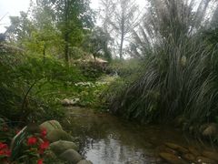 -成飞公园