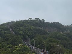 -黄贤森林公园