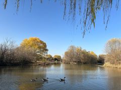 -西安浐灞国家湿地公园