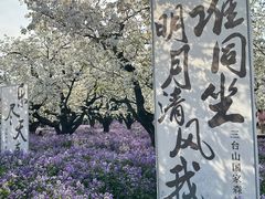 -江苏三台山国家森林公园