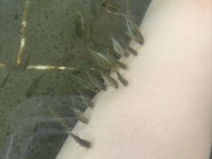 -山湖温泉