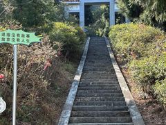 -江西阳明山国家森林公园