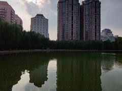 -团结湖公园
