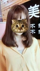 -镁连社·美联社