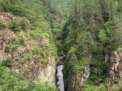 -茅兰沟国家森林公园