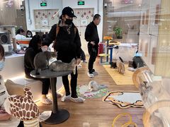 -COLOR PETS 撸猫馆·购猫·猫咖(长风大悦城店)
