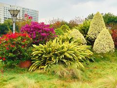 -文华公园(禅城区)