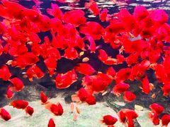 -常州海昌海洋探索馆