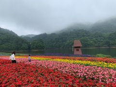 -广州市石门国家森林公园
