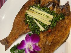 -香巴拉云南餐厅(华莱坞店)