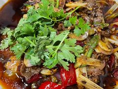 -小杨翘脚牛肉