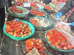 -重振华中蔬菜批发市场(重庆中路店)