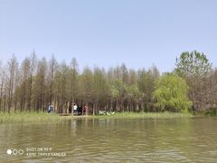 -溱湖国家湿地公园