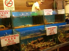 -真浪花园海鲜餐馆