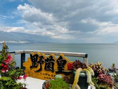 -野菌皇海景野生菌火锅(滨海大道店)