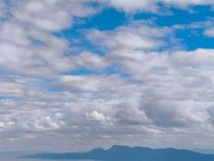 -长虫山生态公园风景林