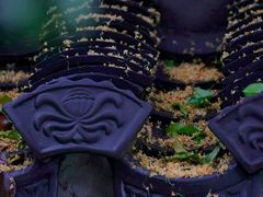 -钱王祠