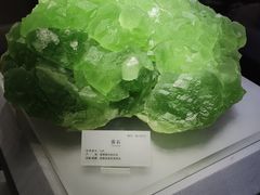 -湖南省地质博物馆