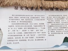 -抚仙湖禄充风景区