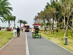 -野狸岛