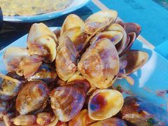 -胖大嫂渔家排档·全海景餐厅(渔村店)