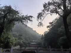 -黔灵山公园