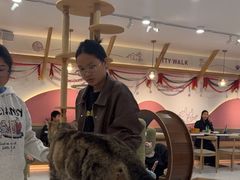 -喵园·猫主题咖啡厅·撸猫·猫咖(国贸店)